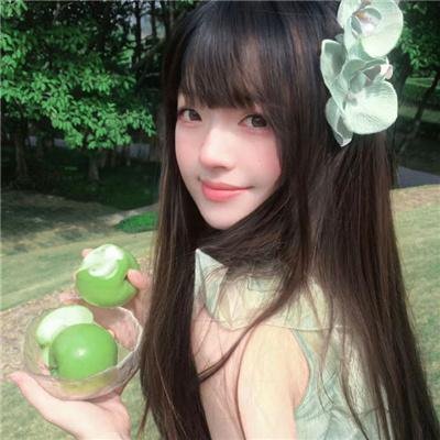 山中森林
